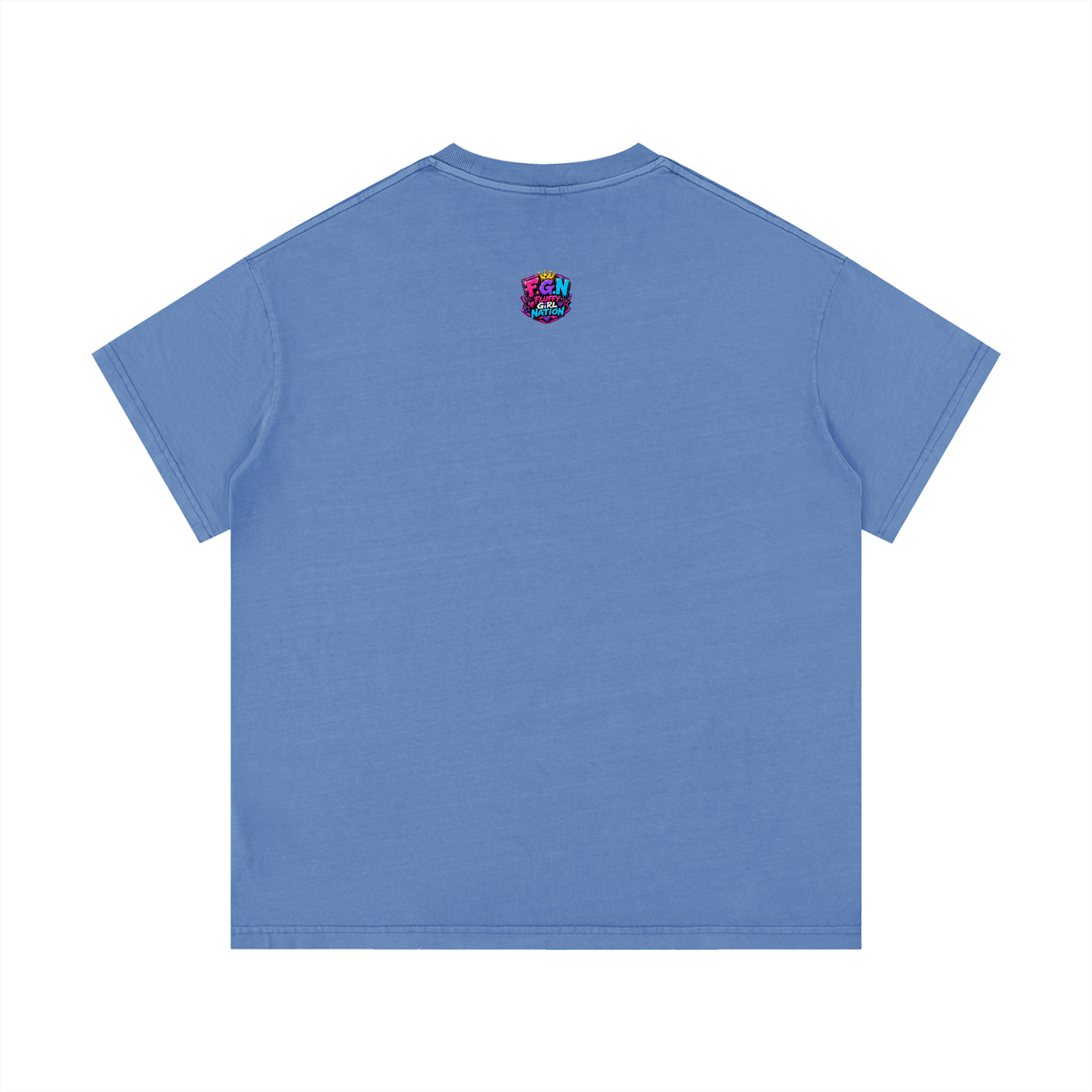 Vintage Wash Cotton T-Shirt w/ Custom Graphic Design_Heavy on the Curves_Front & FGN Logo_Back
